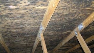 Attic or Crawl Space Mold Cleanup  MMR Stain Remover Woodbridge and Fairfax VA