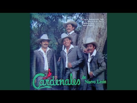 Ver video de Muchacha bonita