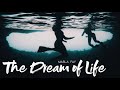 The Dream of Life // COSTA RICA &amp; BAHAMAS 2017-18