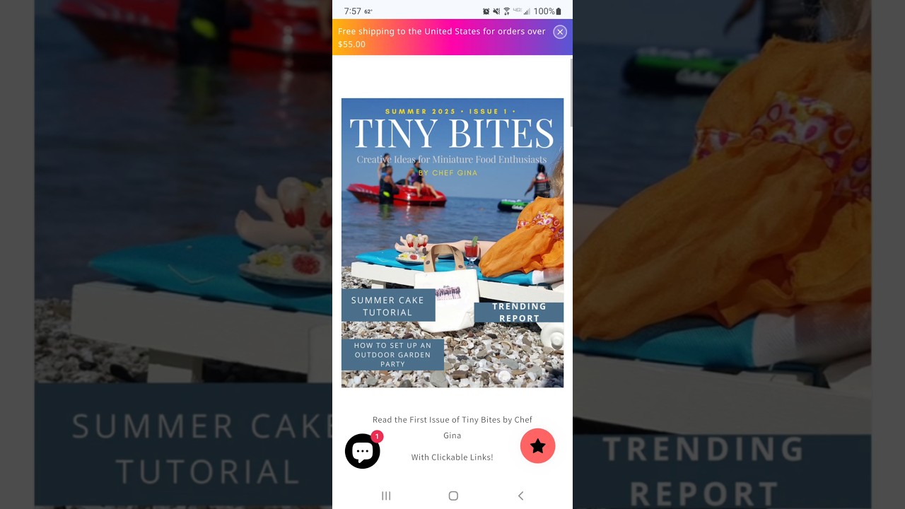 Tiny Bites by Chef Gina has officially arrived! Specifically for miniature food enthusiasts 