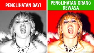 60 Fakta Super Seputar Tubuh Mia Yang Pasti Akan Segera Kamu Tanya Ke Mbah Google