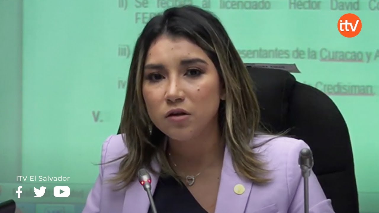 Diputada Dania González reclama a Carlos Reyes de ARENA falta de ...