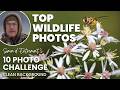 Simon D Entremonts Wildlife 10 Foto Challenge 2025 Klarer Hintergrund JOWP
