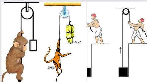 Monkey Pulley Banana Problem NLM