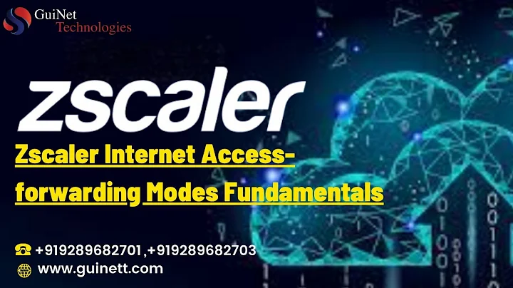 Zscaler Internet Access-Forwarding Modes