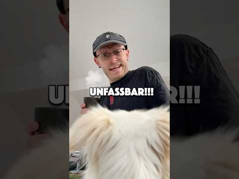 UNGLAUBLICH was passiert ist... #vlog #story #hund #katze #comedy 😱