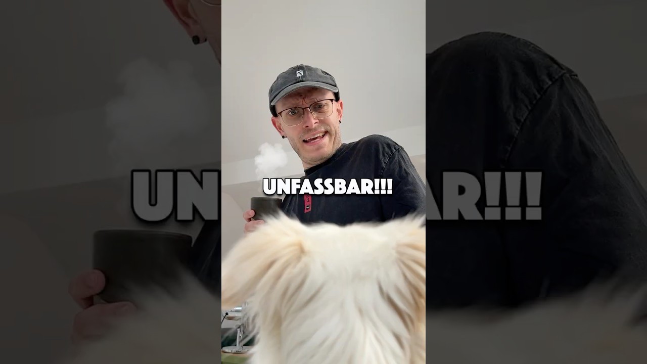 UNGLAUBLICH was passiert ist... #vlog #story #hund #katze #comedy 😱
