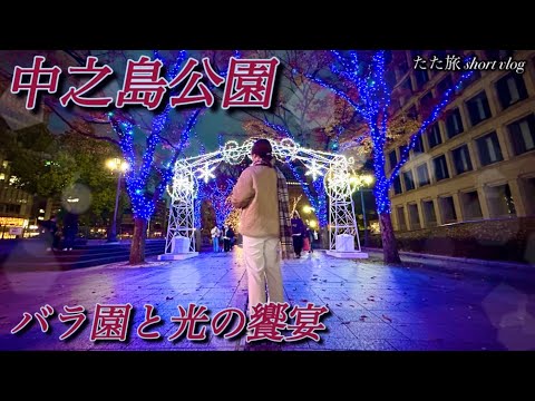 【中之島公園】バラ園と光の饗宴|大阪、中之島、イルミネーション、おでかけ、vlog