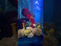 Атлантида 🧜‍♀️лего лэнд. Atlantis lego land 🧜‍♂️#shorts
