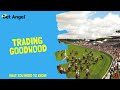 It Works!!.. Horse Race Betting System 2020 ( ALL EXPLAINED) - YouTube