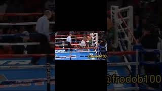 Terence Crawford stops John Molina Jr Highlights