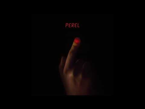 Perel - Projekt 3 [DFA2558]