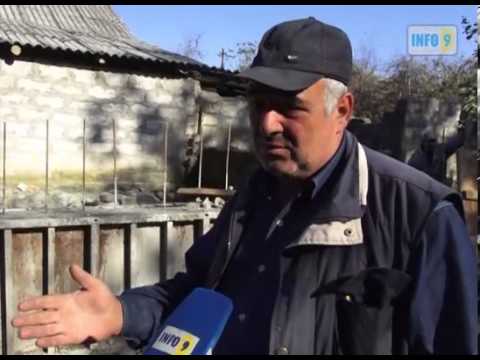 ნინოშვილის ქუჩის მცხოვრებლები