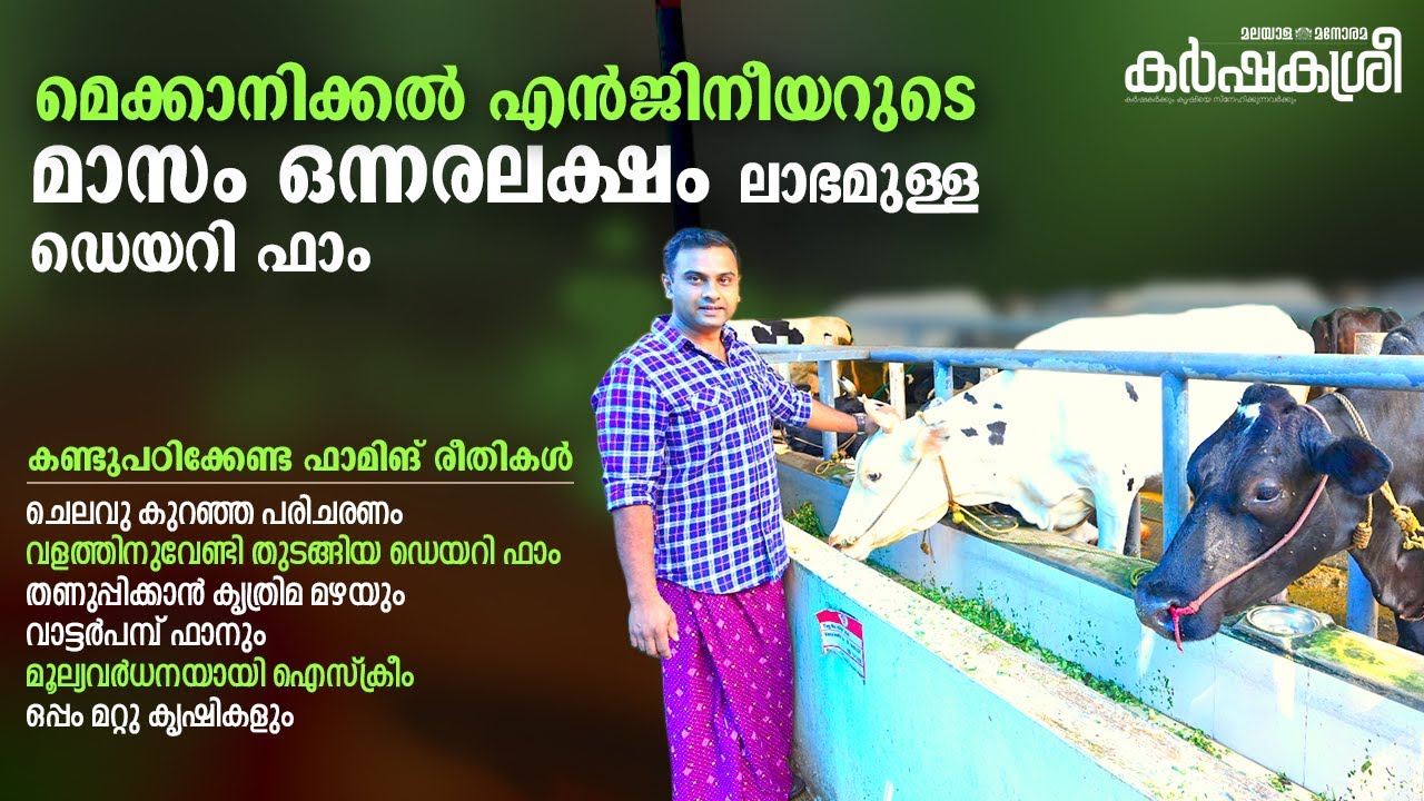 കൃഷിക്ക് വളത്തിനായി ഡെയറി ഫാം, 25 ലീറ്റർ പാലുള്ള പശുക്കൾ, ഫാനായി വാട്ടർ പമ്പ്, ലക്ഷങ്ങളുടെ നേട്ടം