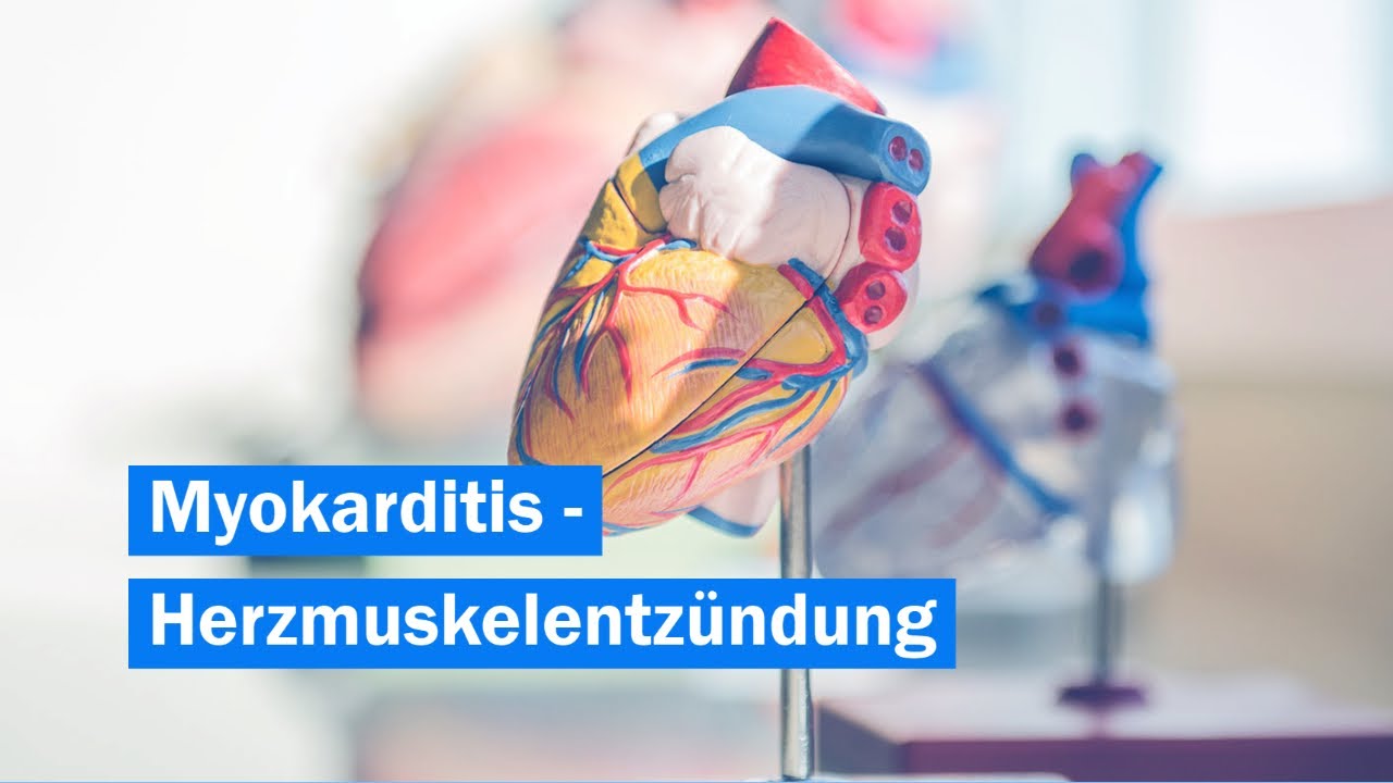 Myokarditis (Herzmuskelentzündung) -Was ist das? | Dr. Heart