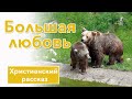 💛 Большая любовь - ИНТЕРЕСНЫЙ ХРИСТИАНСКИЙ РАССКАЗ | Христианские рассказы