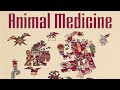 Animal Medicine Journey, Free Talk, &amp; Book Signing, Virtual &amp; In-Person