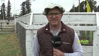 Diego Meneghello, cabaña Tío Negro Coronel Baigorria, Cordoba  Tío Negro se quedó con el gran cam