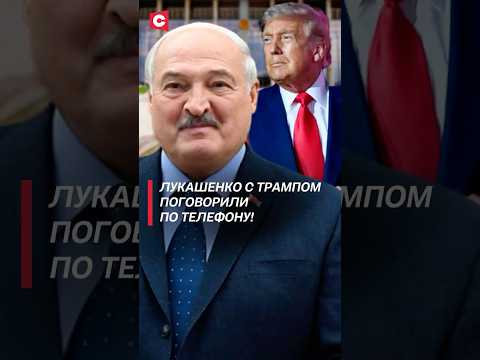 Лукашенко с Трампом поговорили по телефону! #лукашенко #трамп #новости #политика #trump #putin