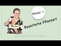 Bayerische Pflanzerl