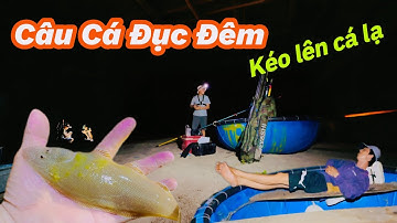 Câu Cá Bống Đục Đêm Kiểu Mới| Kéo Lên Cá Lạ Quá!@Longvlog86