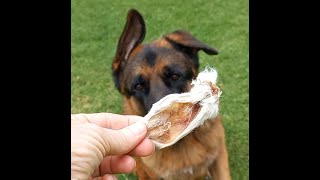 #unboxing (#rawfood) by Adventures with Lycan my German Shepherd Dog 32 views 3 weeks ago 10 minutes, 18 seconds