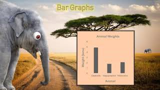 4th Grade - Math - Represent and Interpret Data - Topic Overview Part 1 of 2