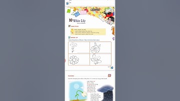 White lily, class 1 English alive coursebook