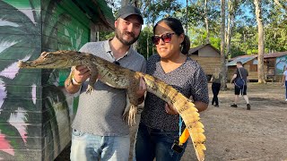 Manaus A Full-Day Amazon Experience Pink Dolphins, Tribes, And Local Food