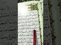 surah nba ayat no 14 #short#quranpaak
