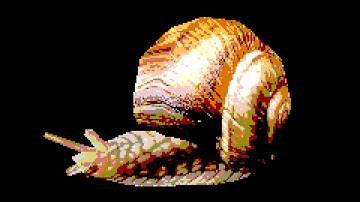 snail