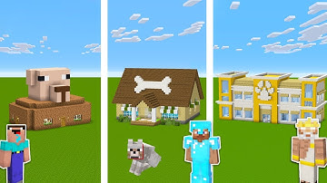 Minecraft NOOB vs PRO vs GOD: PET SHOP in Minecraft / Funny Animation