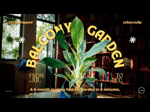 Thành tựu 2025: Lấp đầy khu vườn ban công
