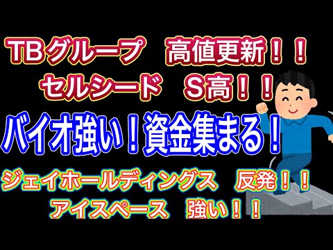 TBグループ高値更新！！【セルシードS高!!】バイオ強い！資金集まる//ジェイホールディングス反発•アイスペース強い！！
