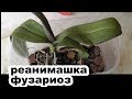 реанимашка. купила по уценке.