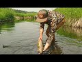 Late summer browns in alberta