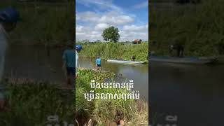 ត្រី​ច្រើនណាស់បឹងនេះ action amazing reels reelsfb nice the