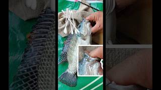 Cara memasang umpan cottonbuds untuk target ikan nila besar #memancing #ikannila #tipsandtricks