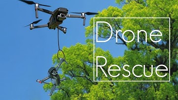 Mavic 2 Pro rescues drone from tree