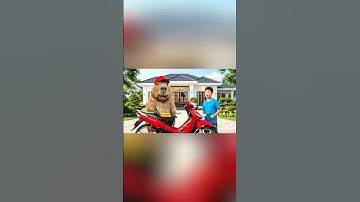 Capy cùng anh giúp bà rửa  xe và cái kết #capybara