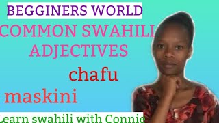 Basic Swahili: Common Swahili Adjectives