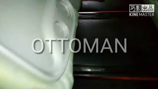 Naza Ria 2009 installed with Black Ottoman Car Floor Mat screenshot 5