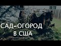 Сад-Огород в Америке