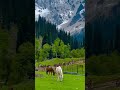 Kashmir view in summer season