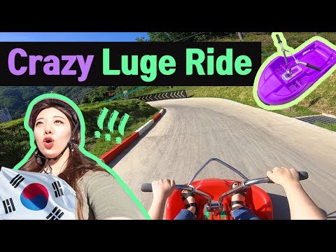 The Luge <strong>World</strong> ㅣ Fun <strong>Things</strong> To Do In Korea