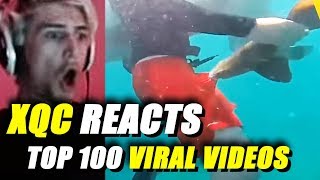 xQc Reacts to Top 100 Most Viral Videos | With Chat