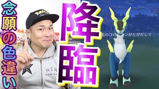 快挙!!ついに色違いコバルオン獲得！？最終日！【ポケモンGO】