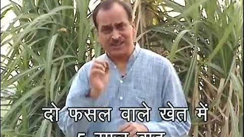 NTPC Ash Utilisation