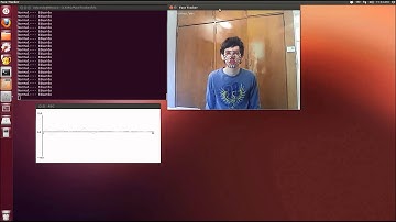 Facial Expression Recognition