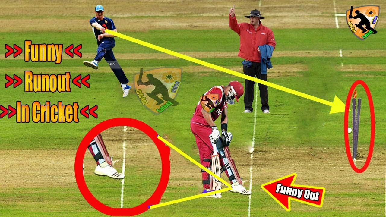 Top 5 Bizarre Runout 😄Stupid Way To Get Run Out In Cricket History 😂